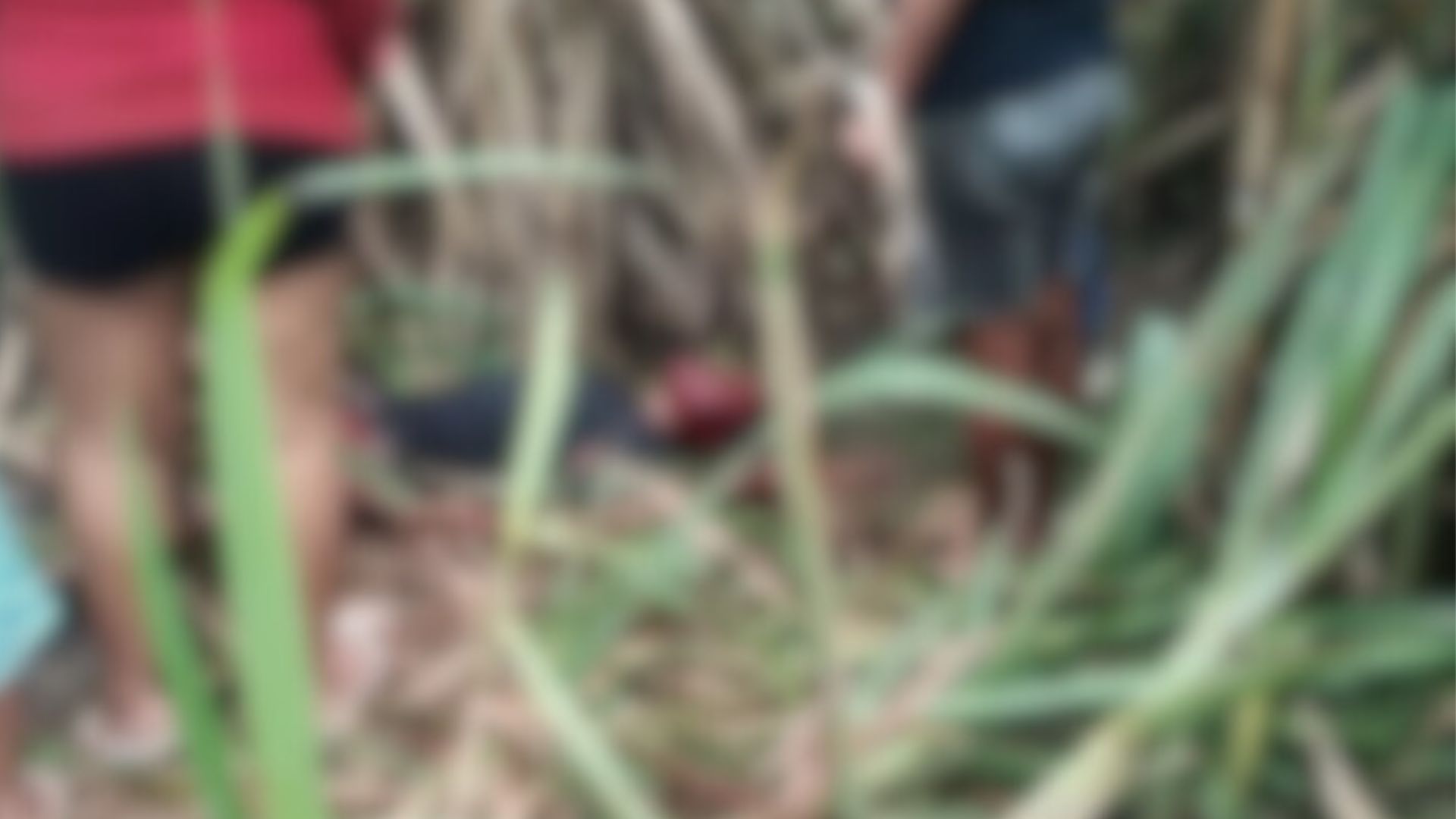 Homem é esfaqueado em frente a campo de futebol em Rio Largo