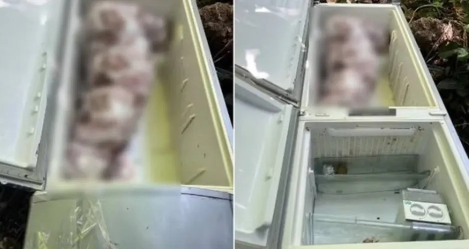 Acusado de matar sogra e esconder corpo em geladeira vai a júri em outubro