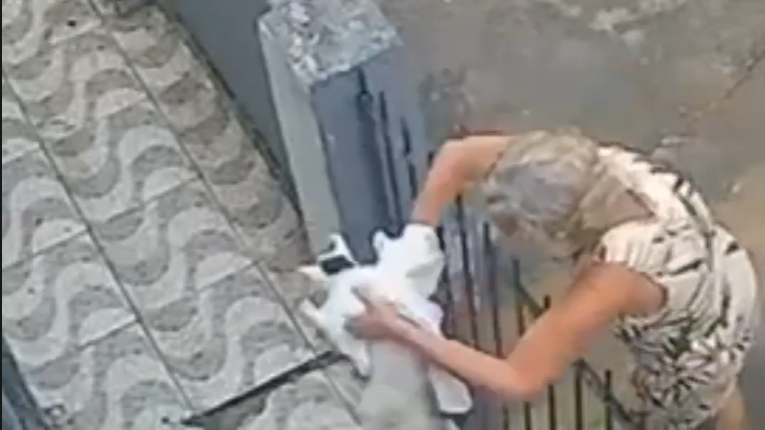 Polícia Civil tenta identificar senhora que abandonou gato em uma casa no Vergel