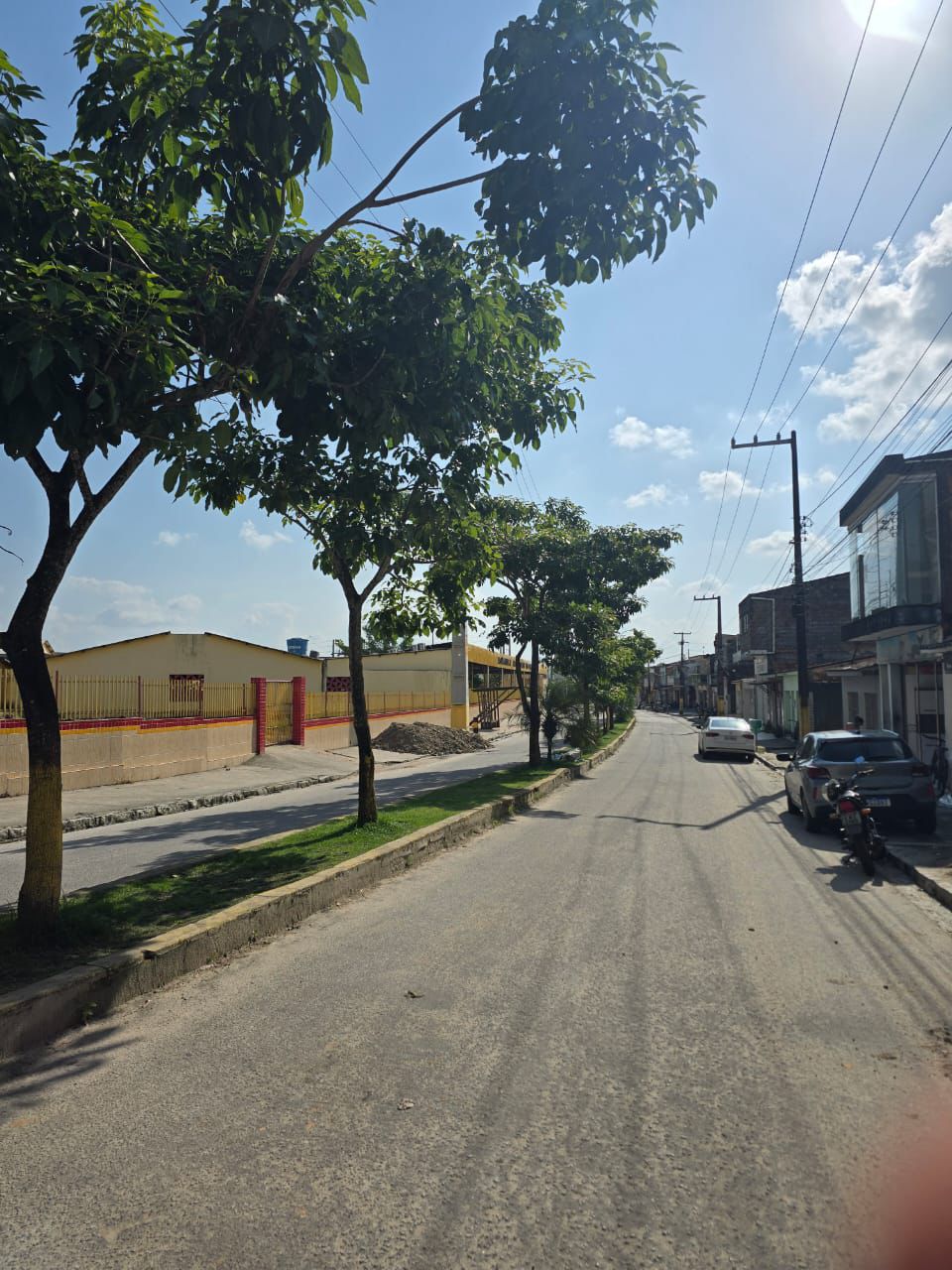 Prefeitura de Matriz de Camaragibe inicia poda e manutenção de árvores na Avenida Manoel dos Santos