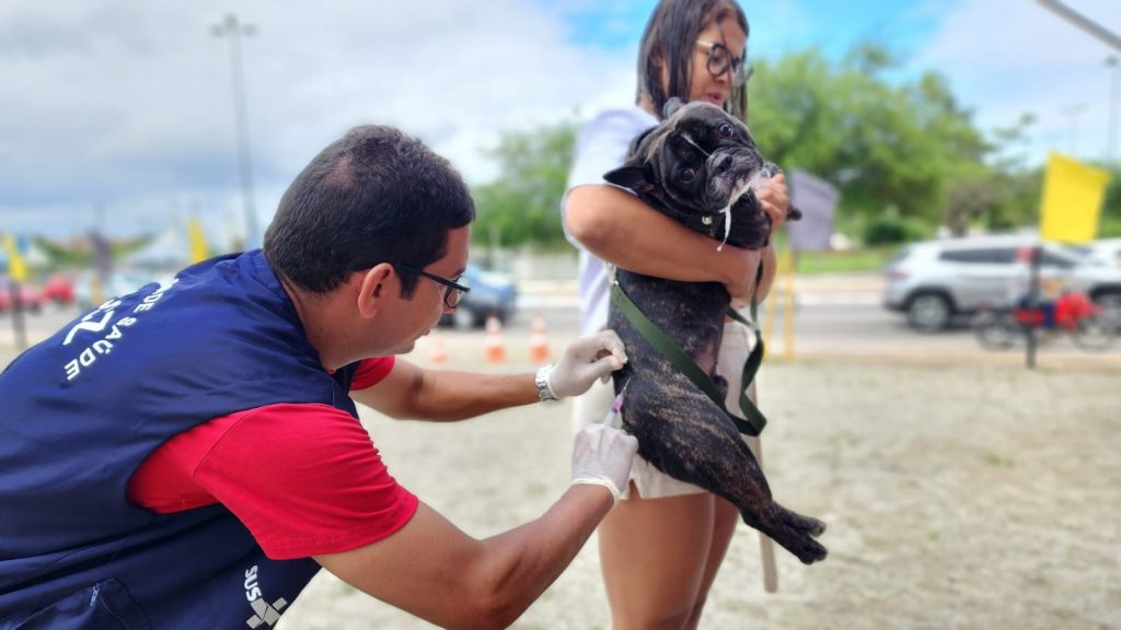 Prefeitura de Arapiraca realizará mutirão de vacinação antirrábica neste sábado (27)