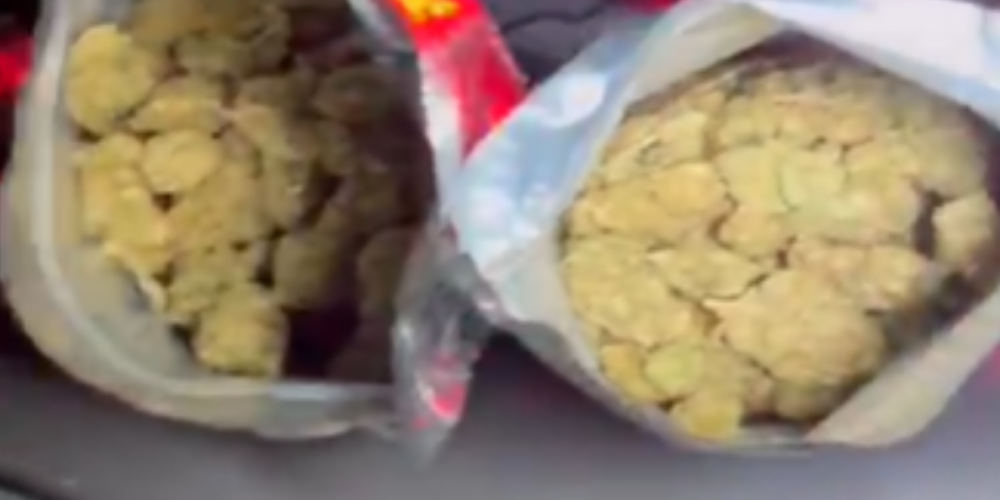 Polícia apreende R$ 20 mil em maconha durante operação no Vale do Reginaldo