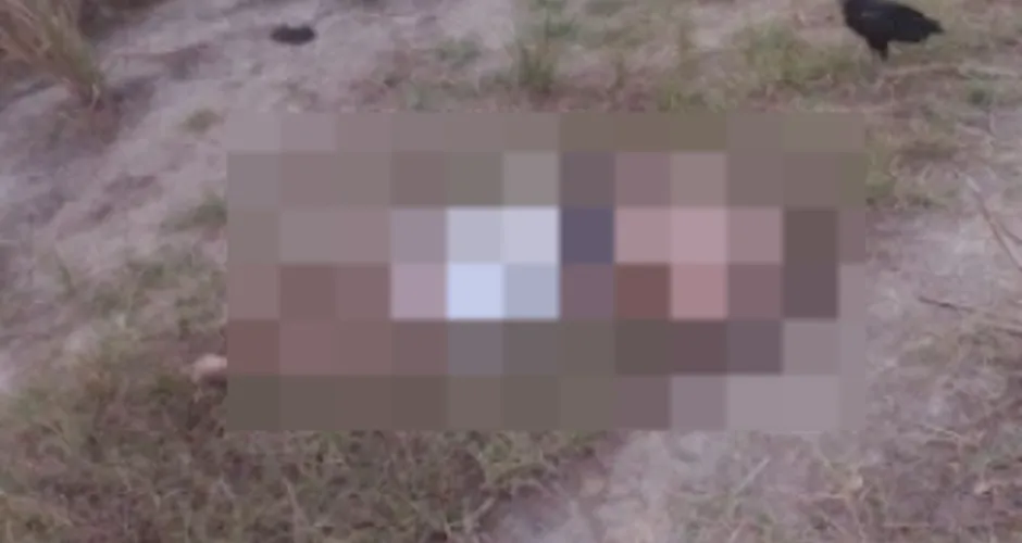 CORPO DE JOVEM É ENCONTRADO DECAPITADO EM PORTO CALVO