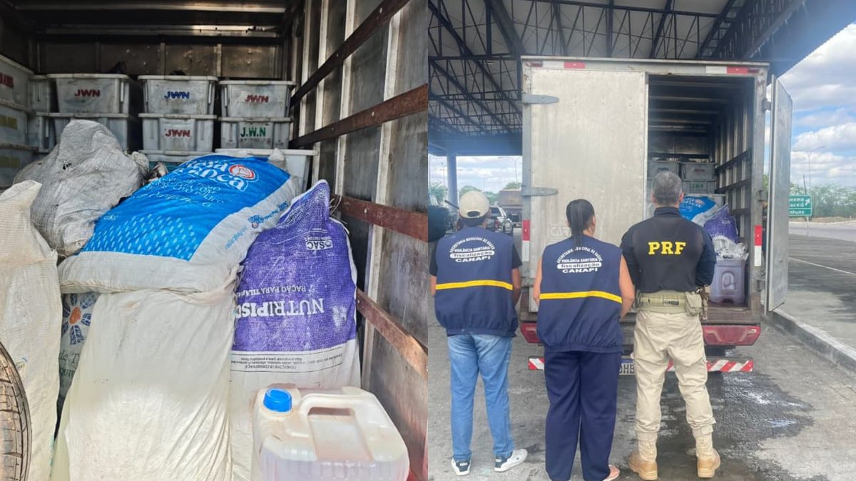 PRF apreende 900 kg de pescado contaminado por óleo diesel e sem refrigeração em Canapi