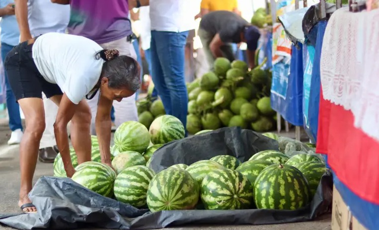 Matriz de Camaragibe movimenta a economia com a 3ª Feira da Agricultura Familiar