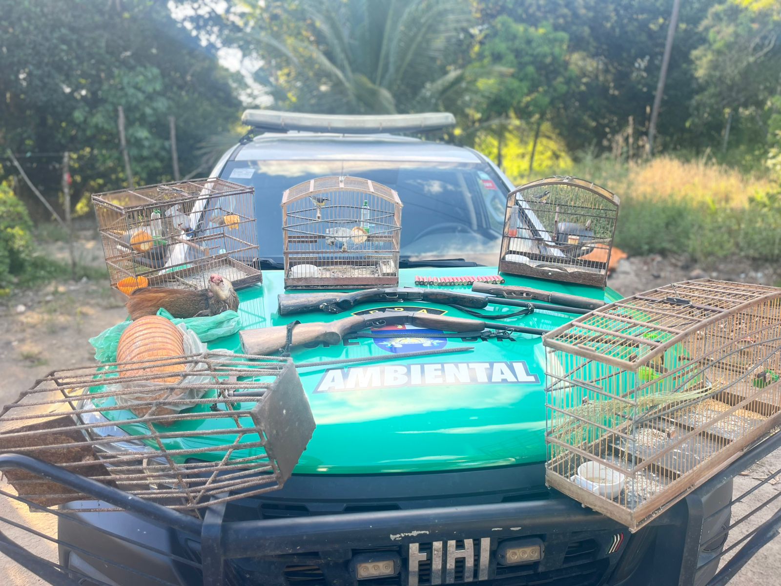 Polícia Militar apreende aves silvestres, armas e armadilhas de caça em Porto de Pedras