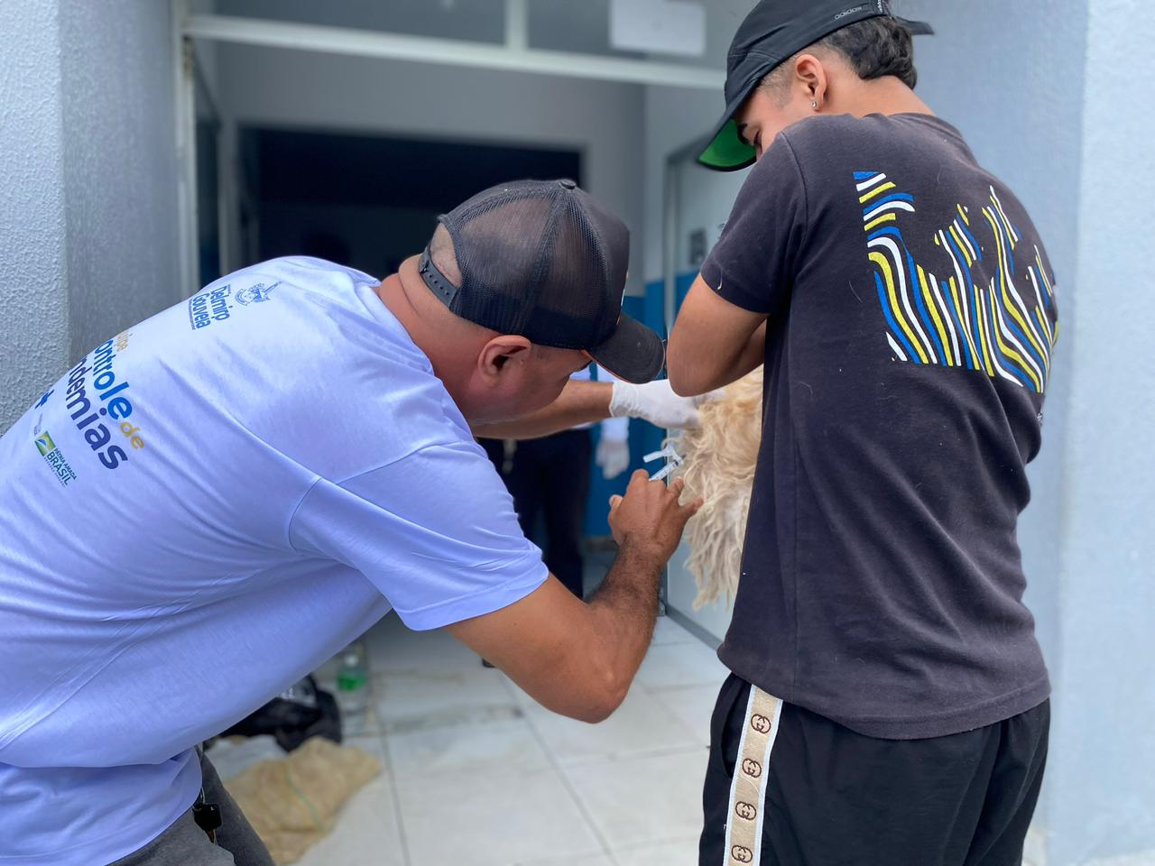 Delmiro Gouveia supera meta de vacinação antirrábica em 2025 com 90,5% do público-alvo Imunizado