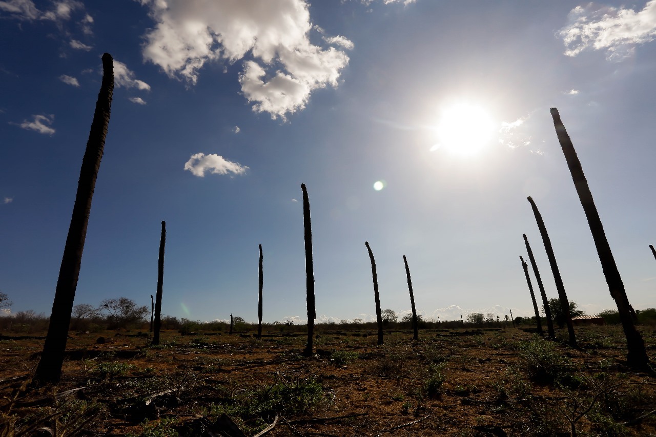 Alertas de baixa umidade são emitidos para 32 municípios do Sertão de Alagoas