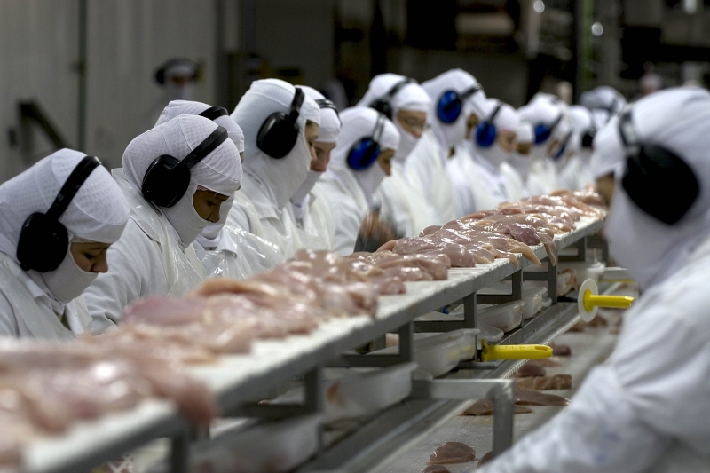China suspende proibição de importação de carne de frango do Brasil