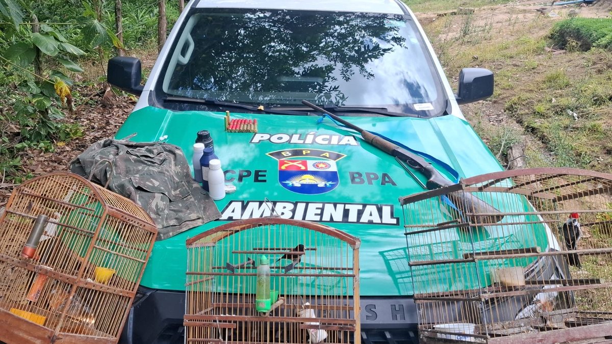 PM apreende arma e aves silvestres durante operação em Passo de Camaragibe