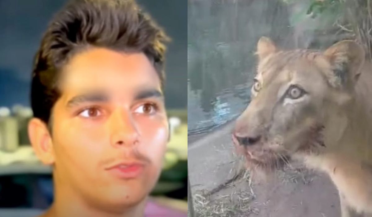 Homem morto por leoa em zoológico já foi preso 10 vezes