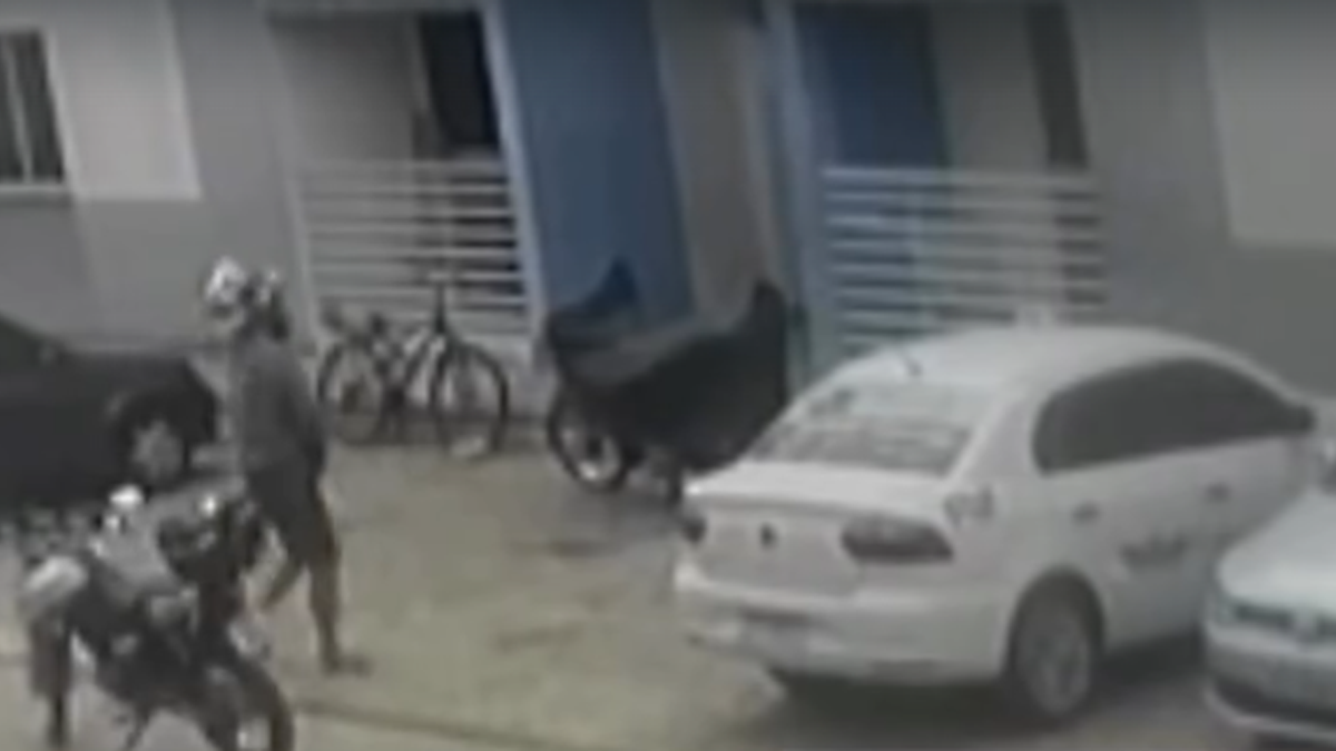 Câmeras registram assassinato cometido por vizinho dentro de apartamento em Rio Largo
