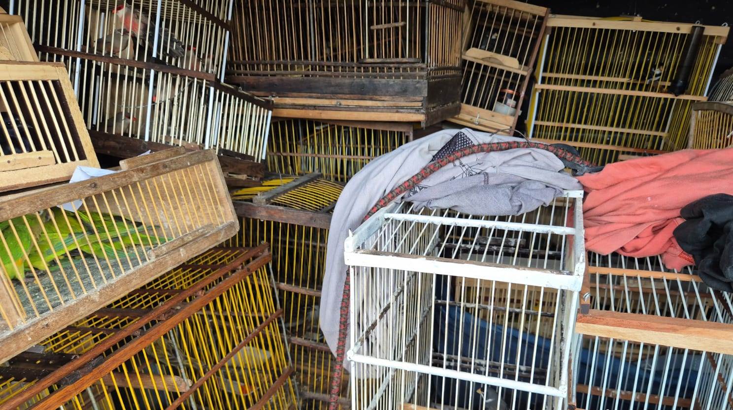 Polícia apreende 679 animais em operação contra crimes ambientais em Arapiraca