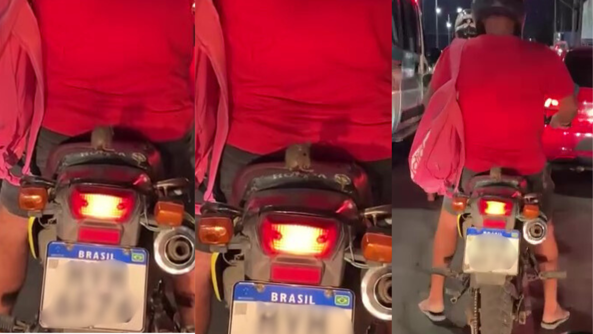 Rato é visto “dando rolê” em motocicleta e cena inusitada viraliza
