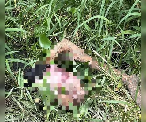 Após achado de cabeça, corpo de adolescente desaparecido é encontrado no Salvador Lyra