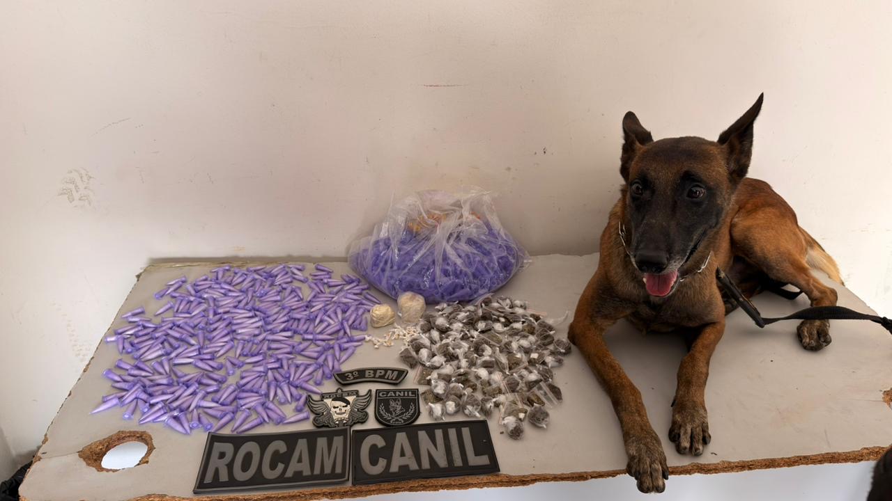 Cão farejador ajuda PM a apreender quase 700 gramas de drogas em Arapiraca