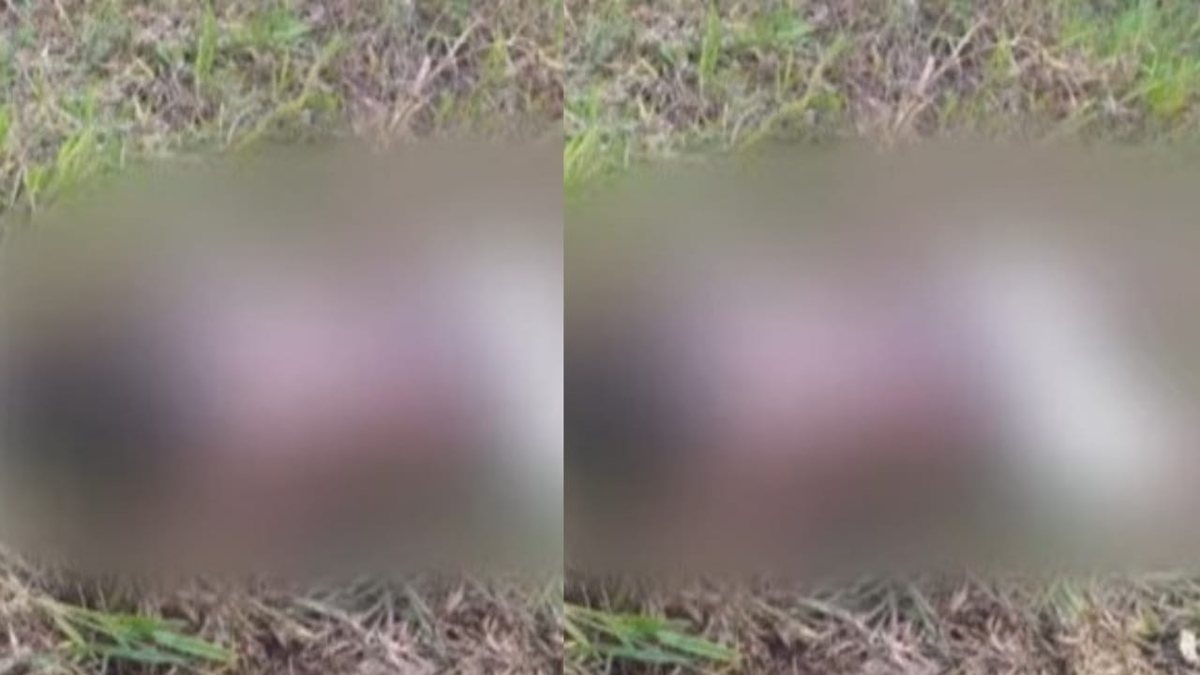 Família encontra corpo de jovem desaparecido na Cidade Universitária