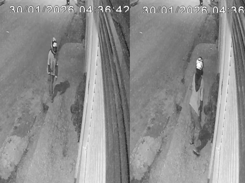 Mulher é flagrada furtando planta de casa durante a madrugada em Água Branca