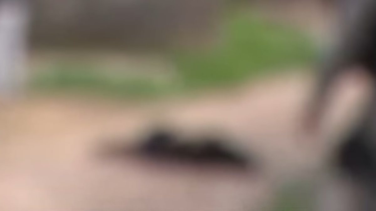 Homem é morto com cerca de 20 tiros durante a madrugada no Benedito Bentes