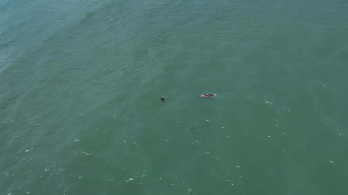 Imagens aéreas mostram momento em que corpo de adolescente é localizado no mar da Jatiúca