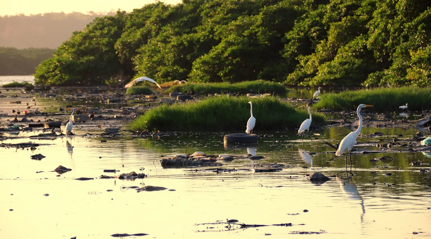 Corpo com marcas de espancamento e tiros é encontrado próximo à Lagoa Mundaú