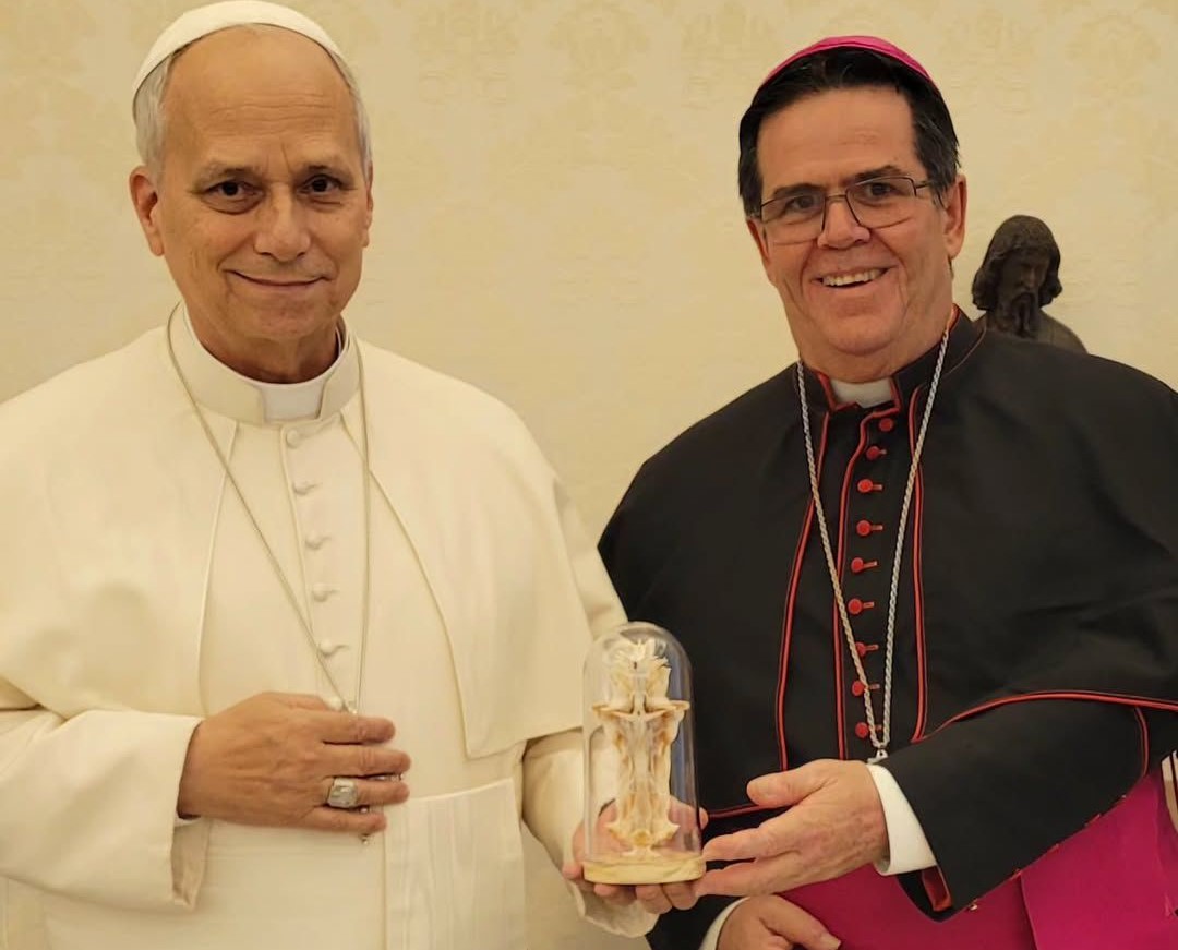 Arcebispo de Maceió se encontra com Papa Leão XVI no Vaticano