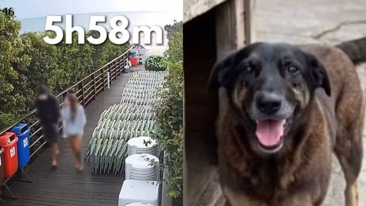 Adolescente apontado pela morte do cão Orelha não pode ser internado