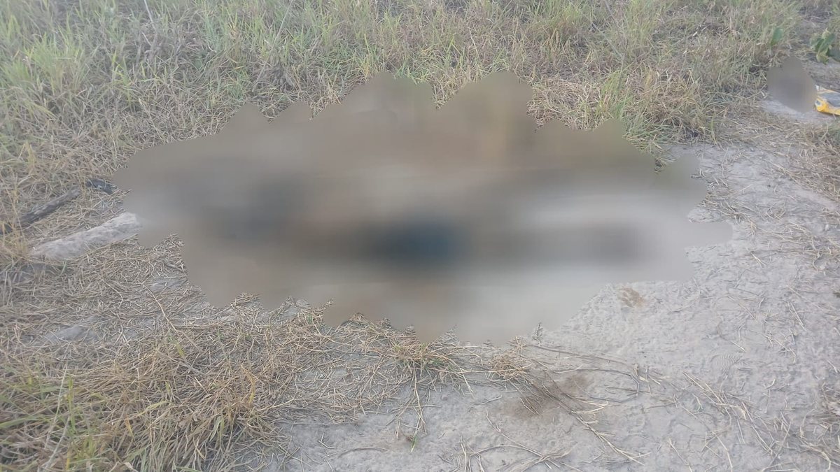 Enquanto brincavam de pipa, crianças acham cadáver no Benedito Bentes