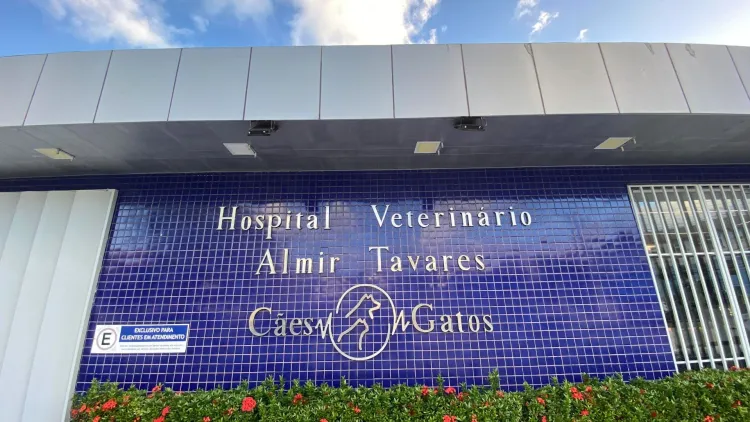 Hospital veterinário de Maceió é condenado por negligência após morte de cadela