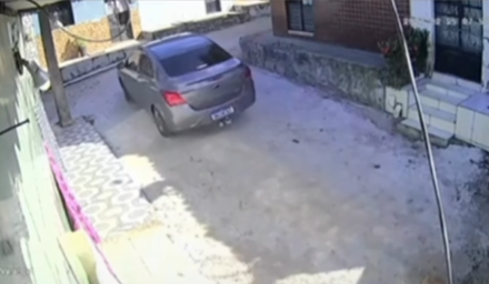 Após investigação, defesa de motorista suspeito de atropelar cadela publica posicionamento