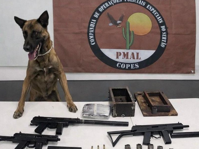 Três metralhadoras e quase 2 kg de drogas são apreendidos em Santana do Ipanema