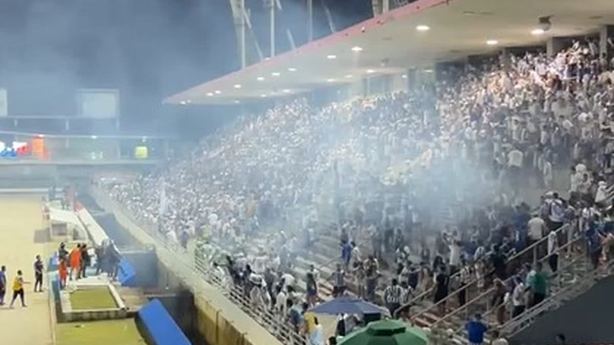 Professor da Ufal é um dos torcedores do CSA proibidos de ir a jogos do clube por confusão no Rei Pelé