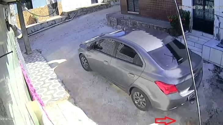 Homem é indiciado após atropelar cadela e não prestar socorro no São Jorge; vídeo flagrou crime