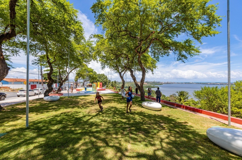 Maceió recebe selo internacional “Cidades Árvores do Mundo” por arborização urbana