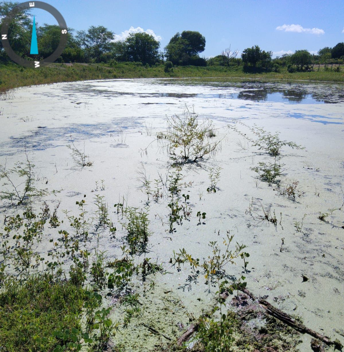 Prefeitura de Piranhas decreta emergência preventiva e reforça ações de segurança hídrica após chuvas