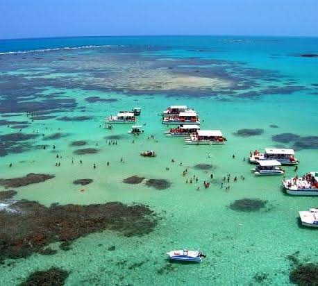 MPF pede suspensão de passeios ilegais na APA Costa dos Corais, em Maragogi