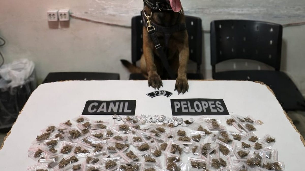 Adolescentes são apreendidos traficando drogas nos fundos de obra abandonada