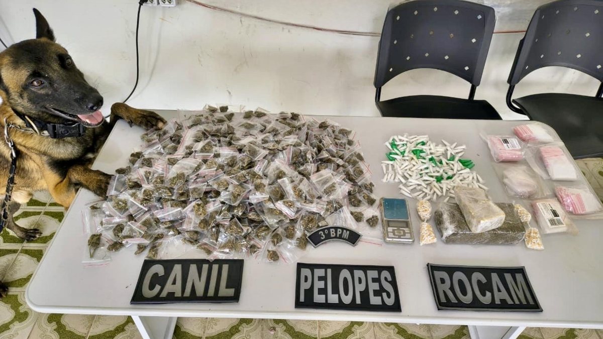 Ação da PM mais de 665kg drogas e armas de circulação em toda Alagoas