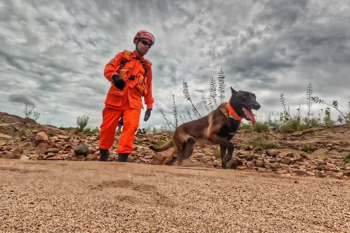Cão farejador reforça buscas por homem desaparecido após carro ser arrastado pela chuva em Piranhas