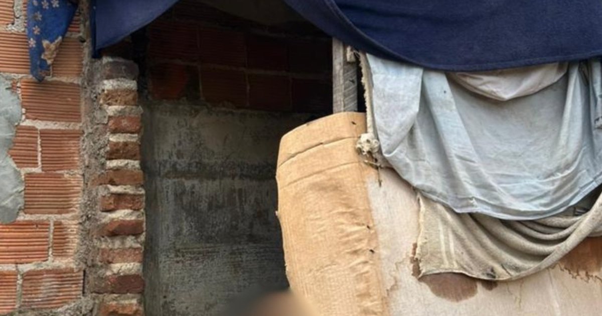 Após ser solto pela justiça, homem suspeito de manter adolescente em ‘casinha do cachorro’, é acusado de agredir a jovem; os dois fugiram da polícia