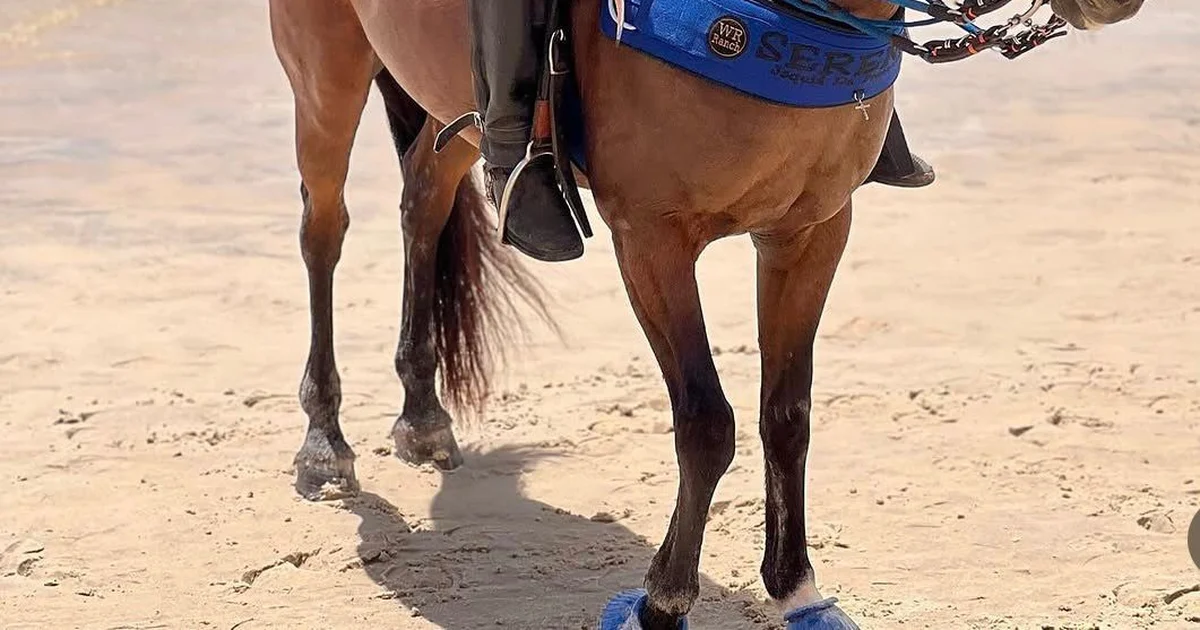 Jovem de 17 anos luta para voltar a andar após acidente e precisa de ajuda