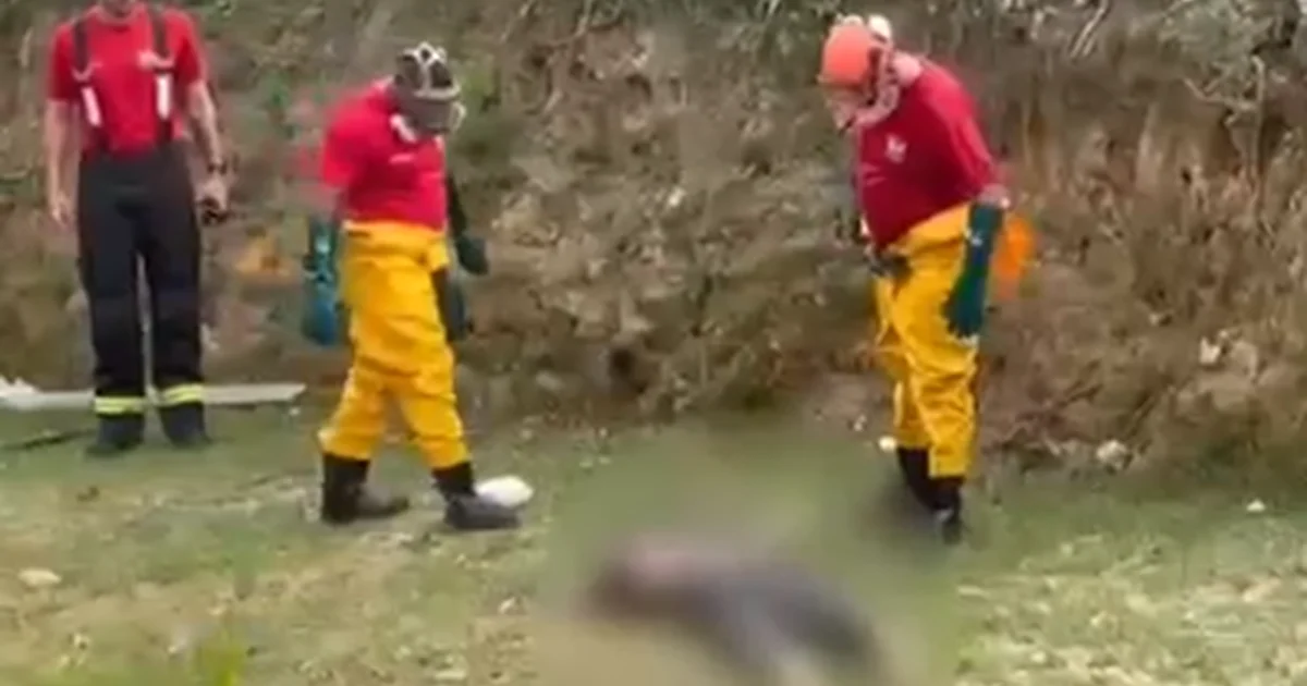 Corpo é encontrado boiando no Riacho Reginaldo, na região da Grota Pau D’Arco, em Maceió