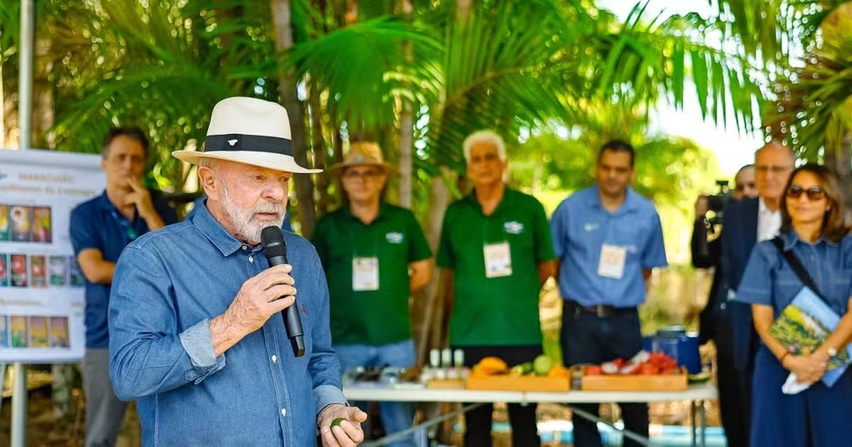 Lula diz que vai levar jabuticaba para Trump: “Para acalmar ele”