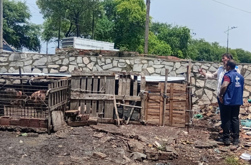 Vigilância Sanitária notifica pocilgas clandestinas no bairro da Levada