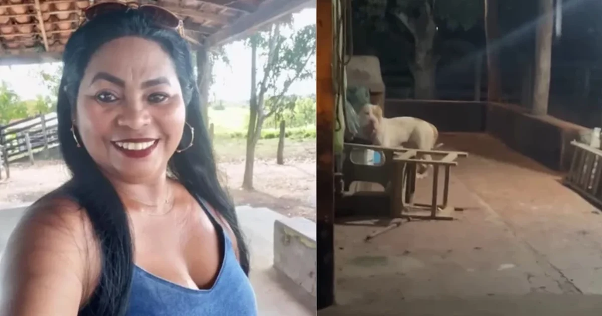 Mulher é morta após ser atacada por pitbull dentro da própria casa