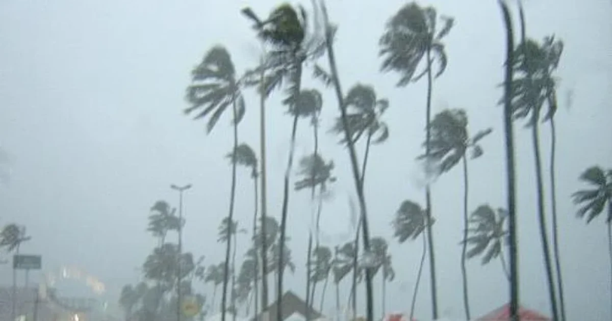 Inmet emite alerta de chuvas para 86 cidades de Alagoas até segunda-feira (13)