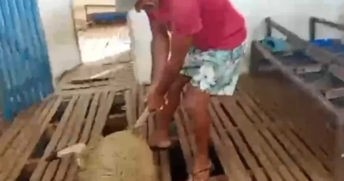 Ataque a animais volta a assustar moradores da zona rural de Igaci