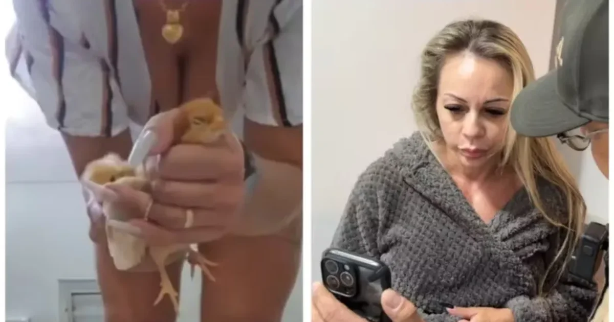 Empresária suspeita de torturar e matar animais para vídeos sexuais é solta após depoimento