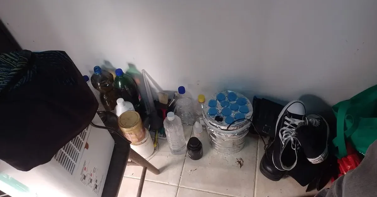 Polícia Civil desmonta laboratório de maconha e produção de haxixe em condomínio no Antares
