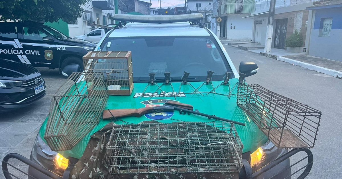 Ações ambientais resultam em apreensões de aves no interior e na capital